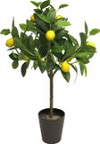 Bellatio Design Kunstplant citrus boom in pot - citroen - 70 cm