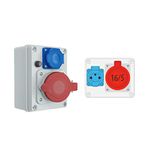 Wandverdeler Pawbol Wandverdeler 16A CEE 230V bouwstroomverdeler stroomverdeler 5-polig