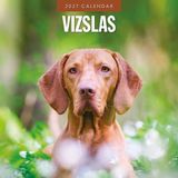 Red Robin Vizsla Kalender 2027 Wandkalender Dieren 60 cm x 2522 cm