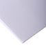 Clairefontaine 37264C Schetspapier - 90 g - 105 x 75 cm - 10 vellen - wit