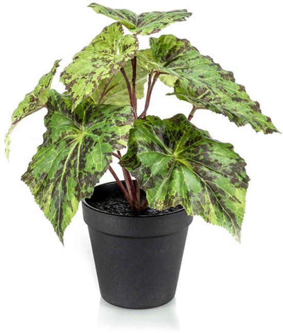 Emerald - Kunstplant in pot Begonia groen 25cm