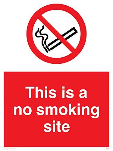 Viking Signs Viking Signs PC537-A1P-1M "This Is A No Smoking Site" Sign, 1 mm Semi-Rigid Kunststof, 800 mm H x 600 mm W