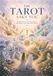 THE TAROT ASKS YOU: 56 Minor Arcana. 56 Conversations. One Deeper Conversation With Yourself.
