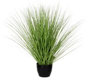 Mica Decorations Kunstgras - grasplant - kunstplant - groen - in pot - H50 x D40 cm - Siergras - Nepplanten
