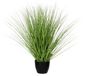 Mica Decorations Kunstgras - grasplant - kunstplant - groen - in pot - H50 x D40 cm - Siergras - Nepplanten