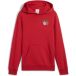 Puma X One Piece Sweat à capuche graphique junior