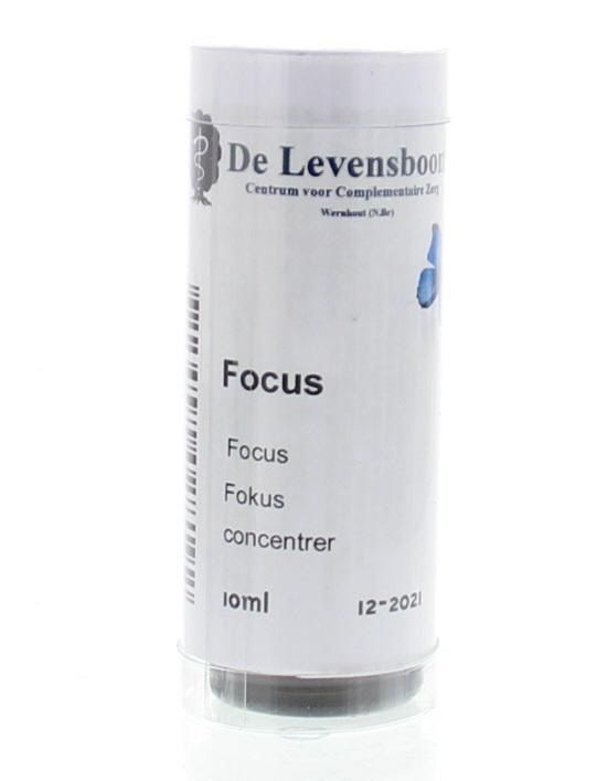 Focus essential oil 10ml