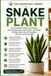 Snake Plant: The Complete Indoor Care Guide to Grow Healthy Sansevierias, Prevent Root Rot, Propagate Successfully, and Keep Every Plant Thriving Year-Round: 2