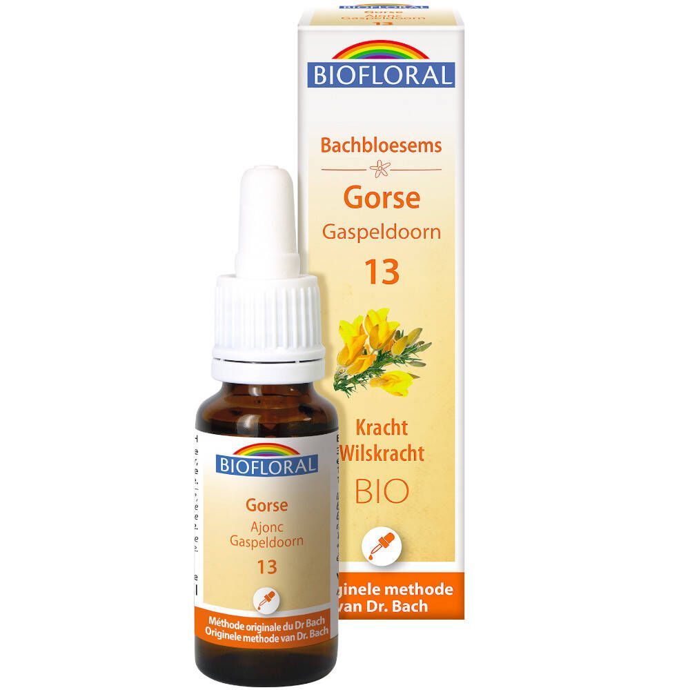Biofloral Bachbloesems 13 Gaspeldoorn Bio 20 ml