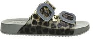 igor Leopard Green Damesslipper Fashion maat 37