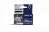 Epson T013 Black Ink Cartridge (Original)