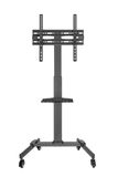 Gembird Support TV 139,7 cm (55") Noir