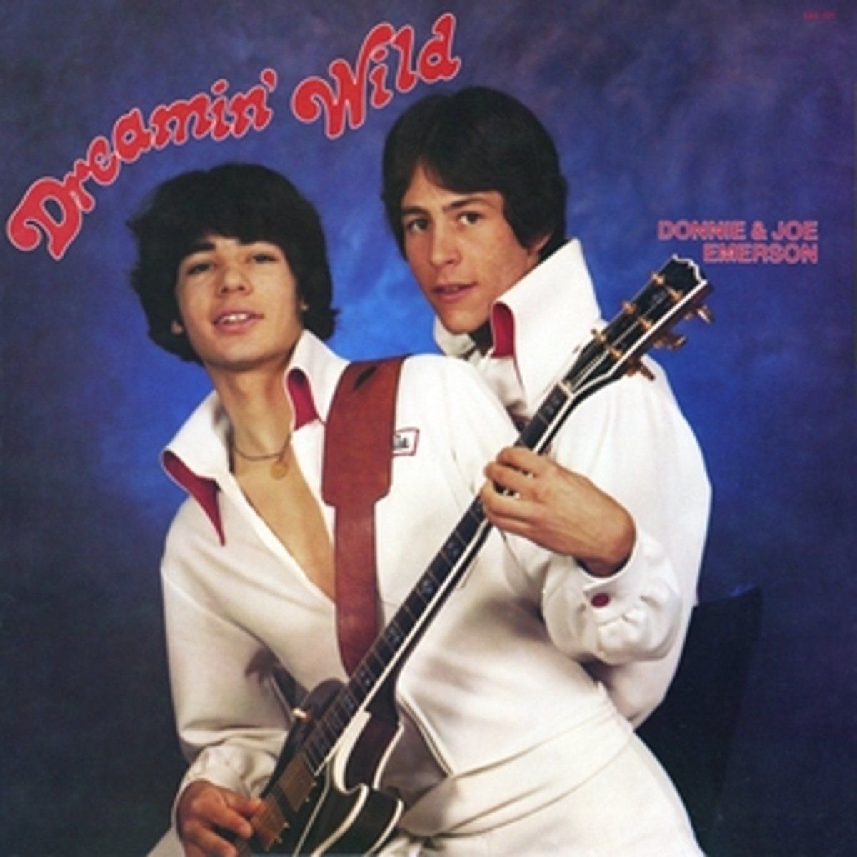 Sonic Rendezvous Panda Sonic Rendezvous Donnie Emerson & Joe - Dreamin' Wild (LP) (Coloured Vinyl)