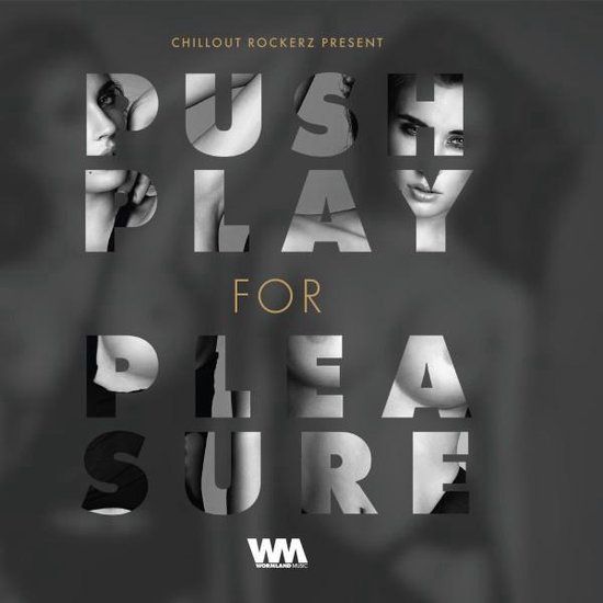 Bertus Distributie Push Play for Pleasure