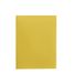 Bristol Snelhechter 270 g - 25 x 34 cm verpakking 50 stuks geel