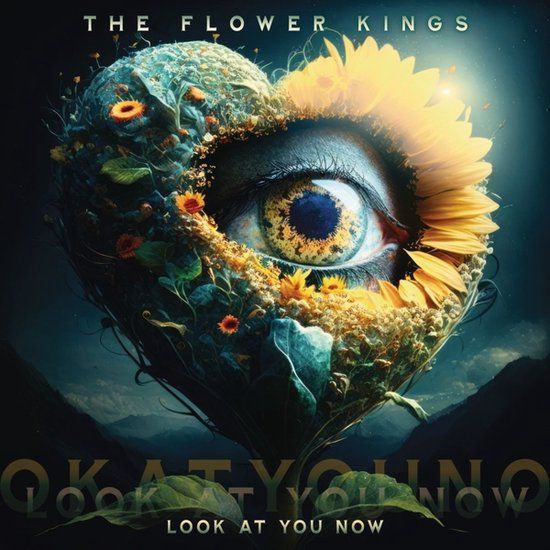 Look The Flower Kings - Look At You Now (CD)