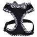CATSPIA Evie Harness kattenharnas, L, zwart