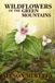 Wildflowers of the Green Mountains
