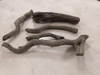 Chemin'Arte Luxe decoratieve boomstammen voor elektrische open haard