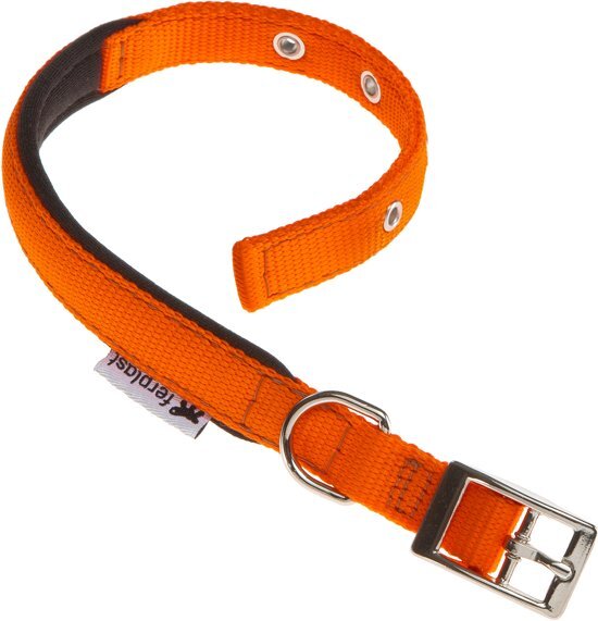 Ferplast HONDENHALSBAND DAYTONA C15/35 ORANJE oranje