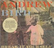 Andrew Bird - Break It Yourself