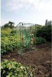 Nature Kas voor tomaten, 100x50x150 cm, polyethyleen, metaal, UV-bestendig, wit