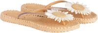 Ilse Jacobsen Slipper CHEERFUL16F - 191 Beige