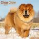 Avonside Chow Chow Kalender 2027 Wandkalender