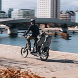 Thule Yepp Nexxt 2 Maxi - Fietsstoeltje - Achterzitje - Bagagedrager Montage - Black