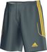 Adidas Short Squadra 13