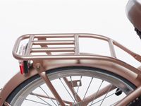 Alpina Achterdrager 22 Clubb rose gold matt