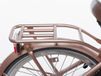 Alpina Achterdrager 22 Clubb rose gold matt
