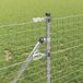 vidaXL - Ingegraven hekpalen - 26 stuks - Zilverkleurig - Gepoedercoat staal