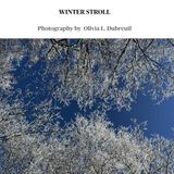 WINTER STROLL