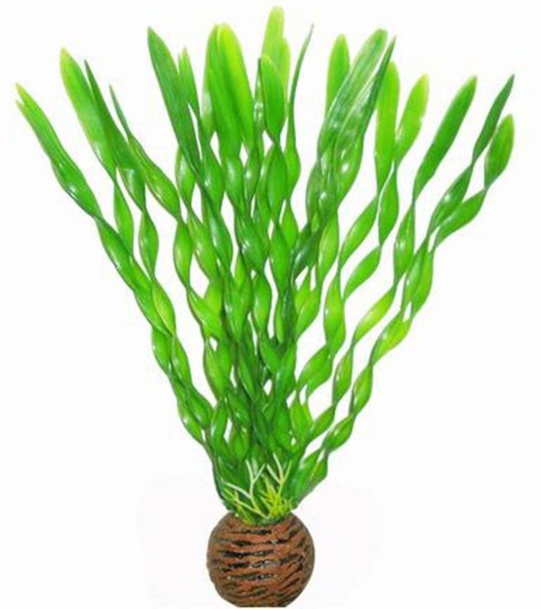 SuperFish easy plants middel nr. 1, van plastic 20 cm - 1 ST