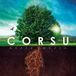 Sony Music Corsu - Mezzu Mezzu CD