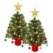 AGM 2 STKS Kleine Kerstboom met Lichten, Mini Tafelblad Xmas Bomen | Warm witte LED-verlichting, sterentopper, kerstballen, mini-kerstbomen voor kerstversiering, huis- en keukendecoratie