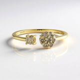 Cavill - Damesring 9K Geelgoud met 0,257 ct Champagne Diamant