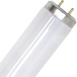 Philips SPL G13 T12 TL-Buis | 65W 4000K 5200lm 840 | 1500mm