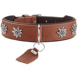 HUNTER hondenhalsband MÜNCHEN van leer, met elegante traditionele details, zacht, robuust en vachtvriendelijk, duurzaam, Made in Germany, kleur: cognac/zwart, maat 65