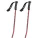 Scott Team Issue Gs bâtons argent 95 cm