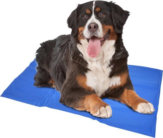 Duvo+ Koelmat Hond - Blauw - XXL - 120 x 80 cm