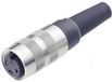 Binder 99-2022-00-06 Ronde connector Bus, recht Totaal aantal polen: 6 Serie (ronde connectoren): 581 1 stuk(s)