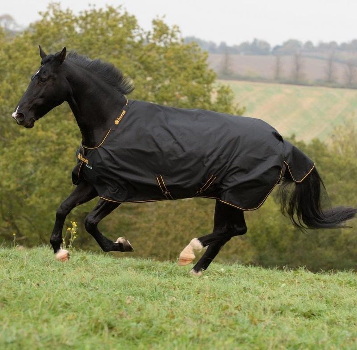 Bucas Irish Turnout 150 213 Zwart / Goud - Paardendeken - Maat 165
