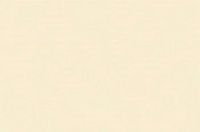 Folia Fotokarton beige 50X70-300G