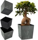 KADAX Bloempot van kunststof, weerbestendige tuinpot voor balkon, terras, binnen, lichte pot met inzet, plantenpot, bloempot (beton zwart, hoogte: 25,7 cm)