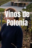 Vinos de Polonia