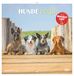 Hunde Neumann Verlage GmbH & Co. KG Hunde 2027