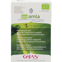 OJAS Ayurveda Bio Amla - 60 capsules