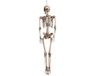 Boland Halloween skelet - 92 cm - hangend skelet - halloween decoratie